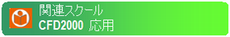 CFD2000 応用