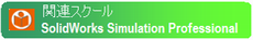 SolidWorks Simulation Professional SolidWorks Simulation Professional