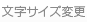 �����T�C�Y�ύX